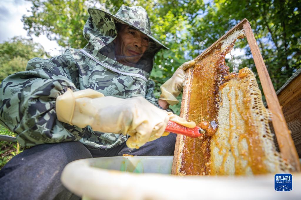 微乐家乡斗地主电脑版